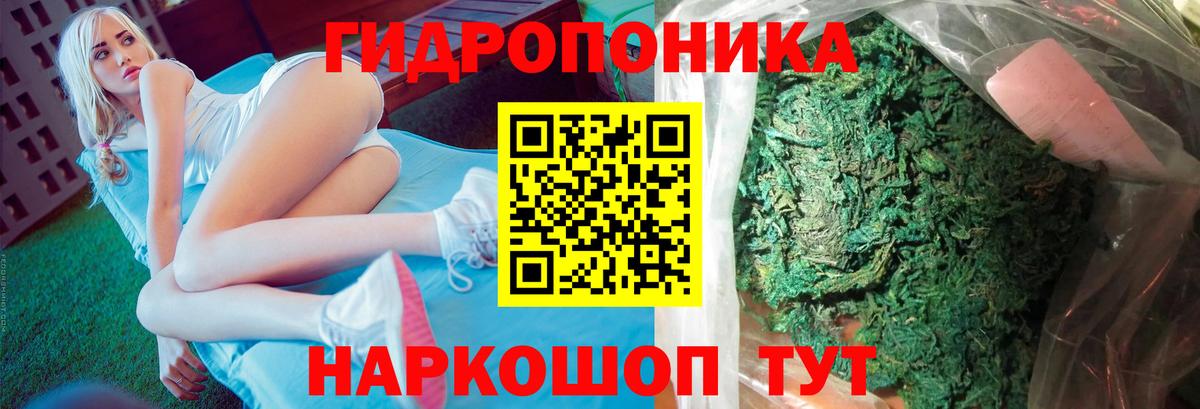 Канабис Amnesia Кубинка